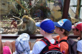 02 ZOO 2016