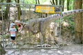 13 ZOO 2016
