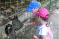 19 ZOO 2016