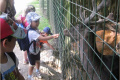 20 ZOO 2016