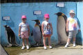 21 ZOO 2016